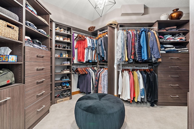 spacious closet with light colored carpet