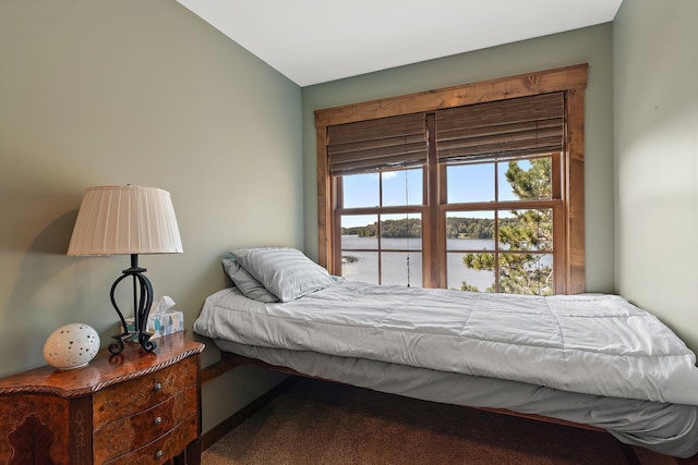 bedroom with a water view