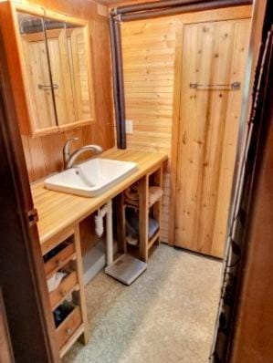 bathroom with wood walls and sink