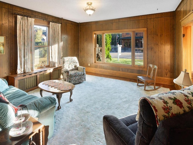 living area featuring radiator heating unit and wooden walls