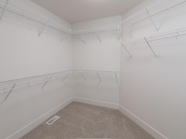 spacious closet with carpet