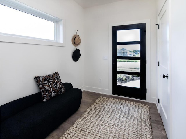 entrance foyer with wood-type flooring