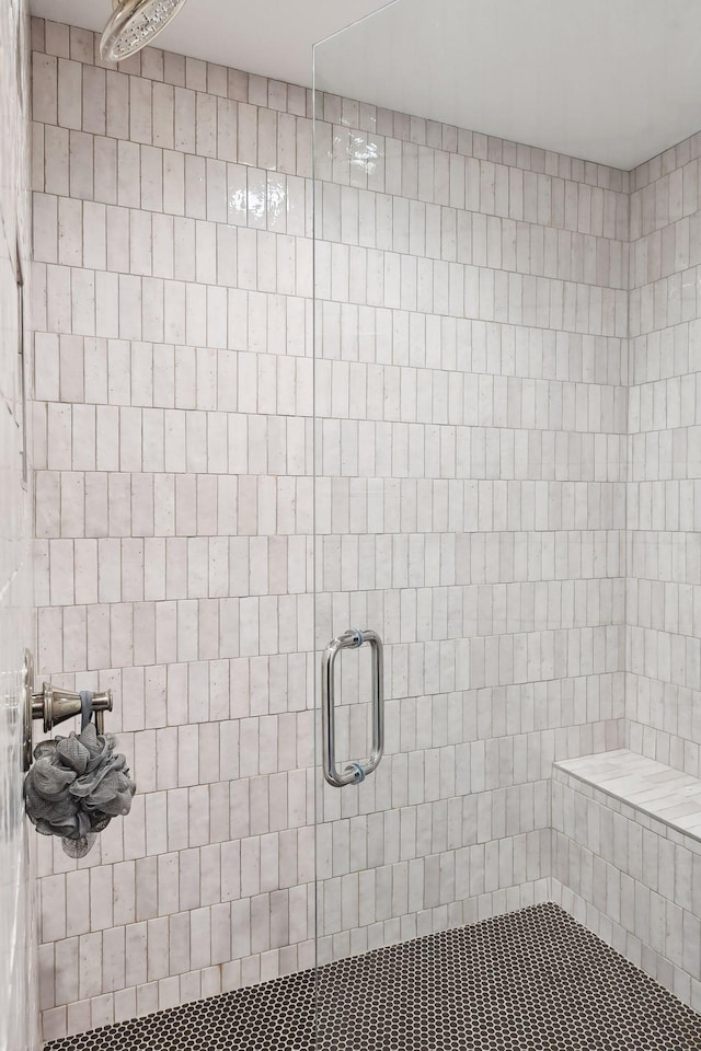 bathroom featuring a shower with shower door