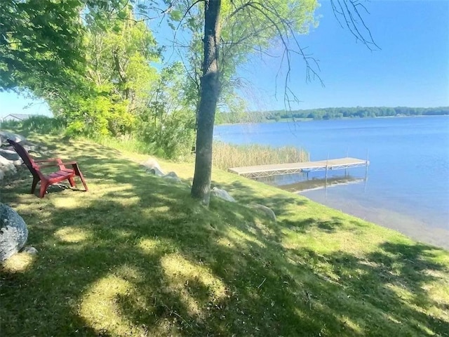 2329 Turtle Trl SW, Lake Mary Twp, MN 56308 - photo 1