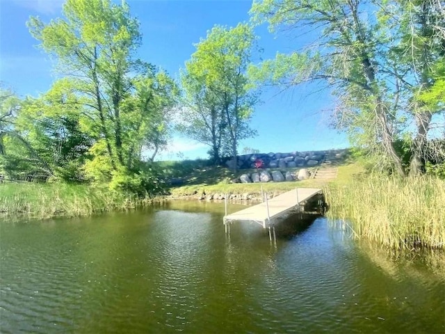 2329 Turtle Trl SW, Lake Mary Twp, MN 56308 - photo 2