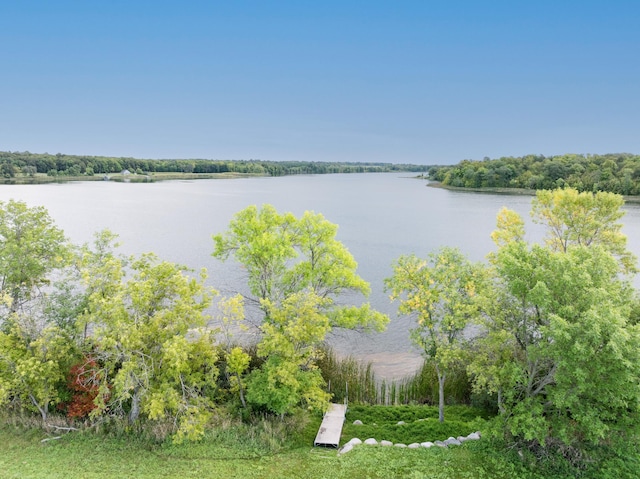 2329 Turtle Trl SW, Lake Mary Twp, MN 56308 - photo 15
