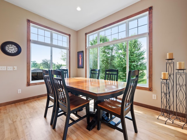 4424 Donway Dr NE, Alexandria, MN 56308 - photo 30
