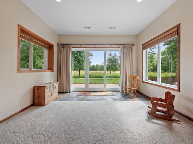 4424 Donway Dr NE, Alexandria, MN 56308 - photo 46