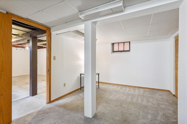 basement featuring a paneled ceiling and carpet