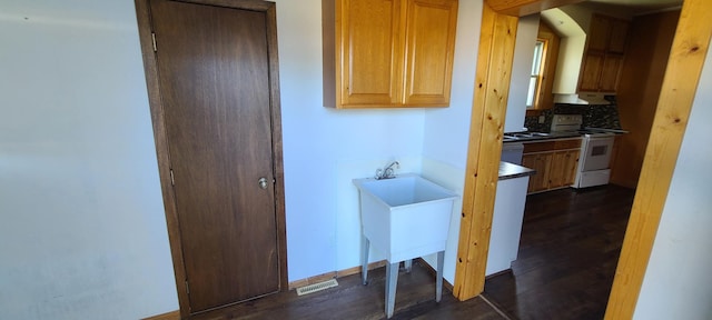 hall featuring dark hardwood / wood-style flooring and sink