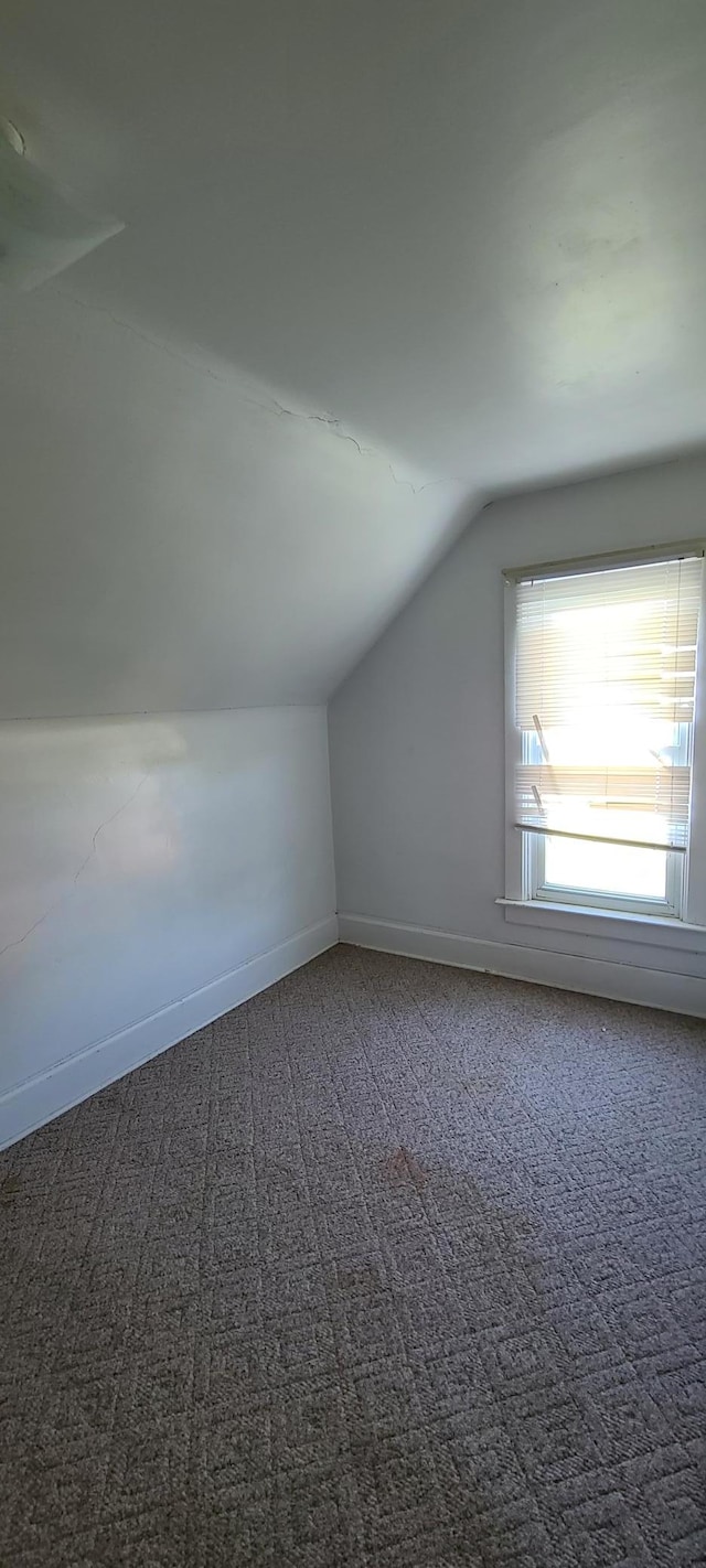 additional living space featuring carpet flooring and lofted ceiling