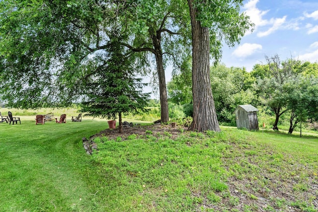 view of yard with a storage unit