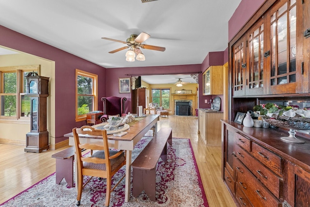 dining area featuring a healthy amount of sunlight, ceiling fan, and light hardwood / wood-style floors