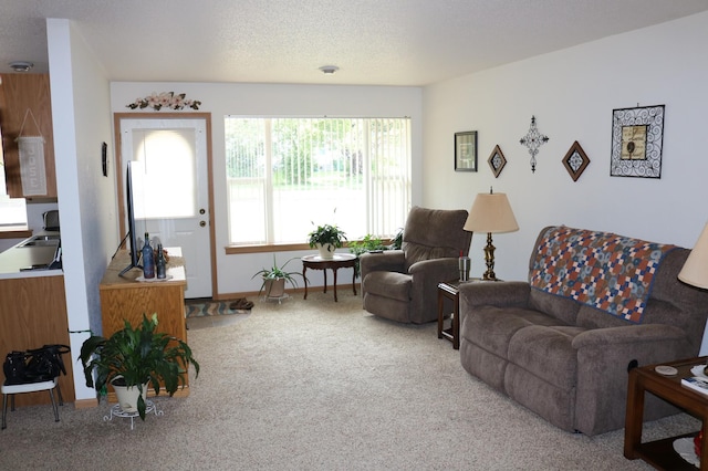 living room featuring carpet and a textured ceiling