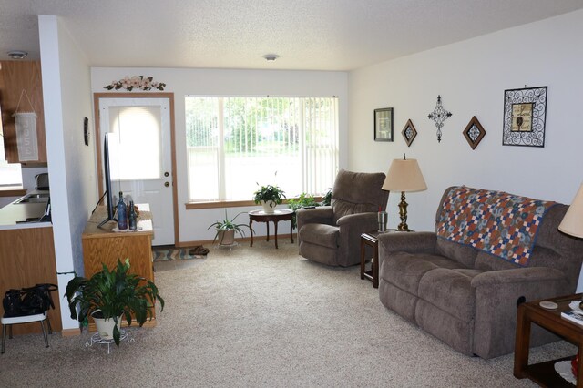 living area featuring carpet flooring