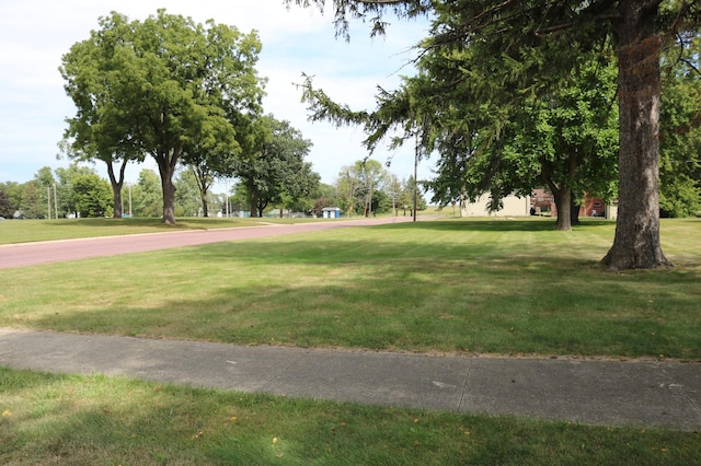 view of community with a yard