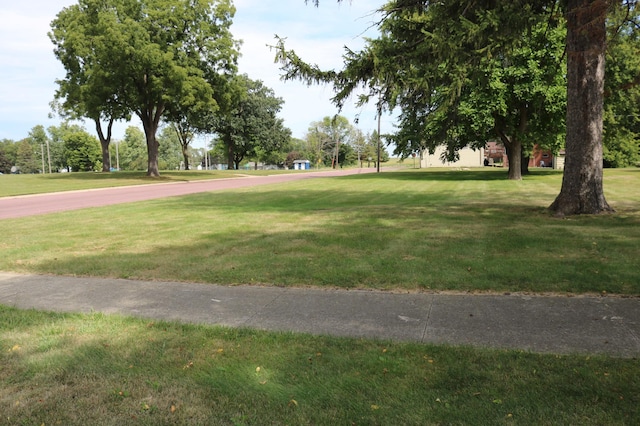 view of community with a lawn