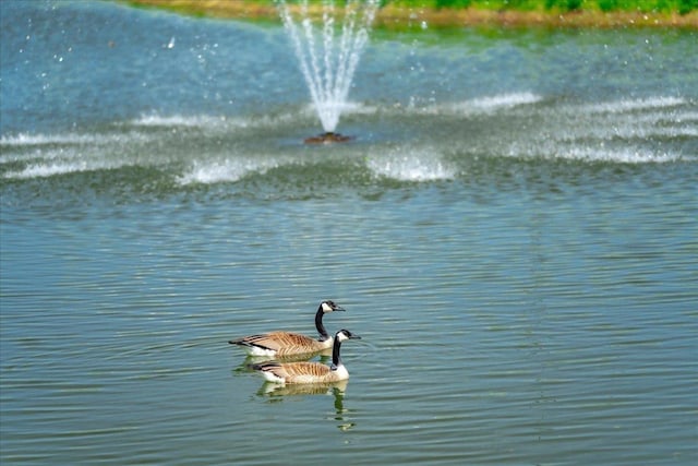 view of water feature