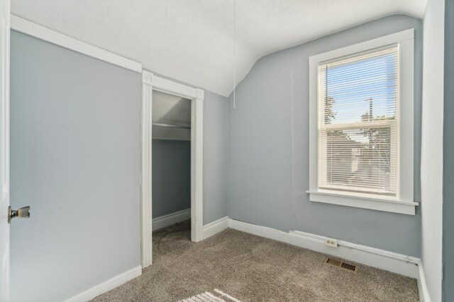 additional living space with a textured ceiling, vaulted ceiling, and carpet floors