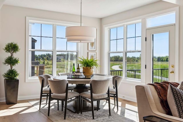 dining room with a wealth of natural light and light hardwood / wood-style floors