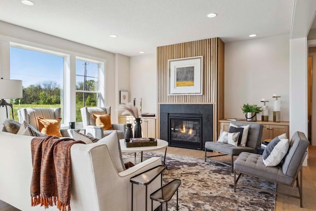 living room with a textured ceiling and wood-type flooring