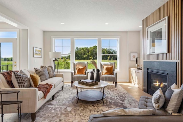10291 Shadyview Ln N, Maple Grove, MN 55311 - living area with a glass covered fireplace, wood finished floors, a textured ceiling, and recessed lighting