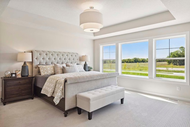 10291 Shadyview Ln N, Maple Grove, MN 55311 - bedroom featuring light colored carpet and a raised ceiling