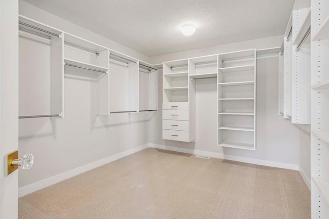 10291 Shadyview Ln N, Maple Grove, MN 55311 - walk in closet with light carpet