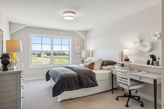 10291 Shadyview Ln N, Maple Grove, MN 55311 - carpeted bedroom featuring a textured ceiling and an office area