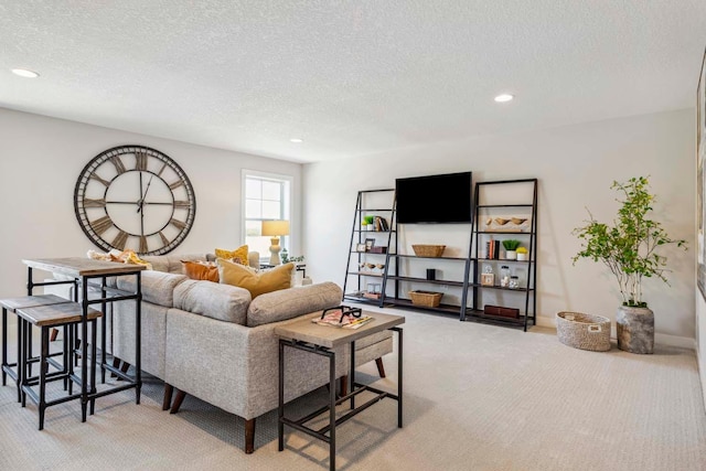 carpeted living room with a textured ceiling