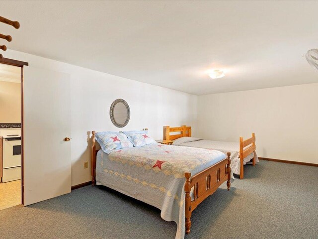 bedroom with carpet floors