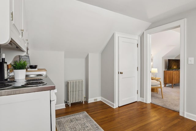 additional living space featuring lofted ceiling, dark hardwood / wood-style floors, and radiator heating unit