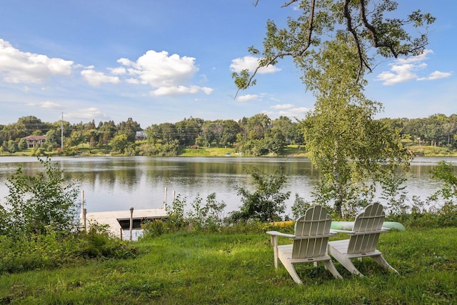 357 Salem Church Rd, Sunfish Lake, MN 55118 - property view of water featuring a boat dock