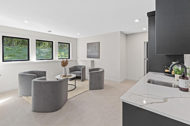 interior space with light colored carpet and sink