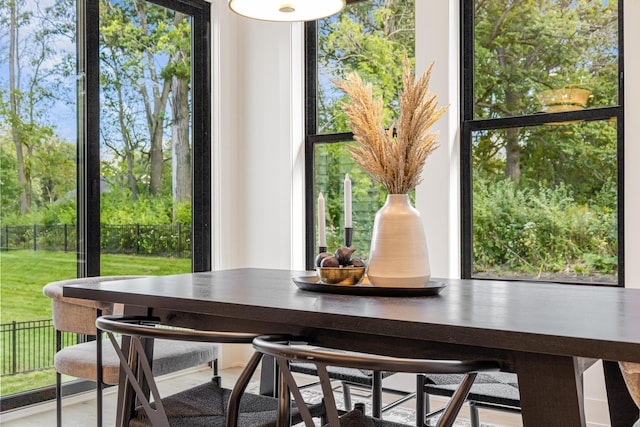 dining space featuring a healthy amount of sunlight