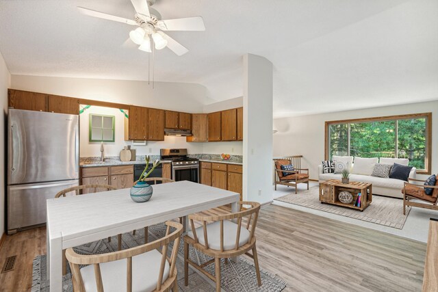 kitchen featuring light wood-type flooring, stainless steel appliances, vaulted ceiling, ceiling fan, and sink