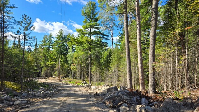 XX13.7 Crane Lake Rd, Crane Lake Twp, MN 55725 - photo 9