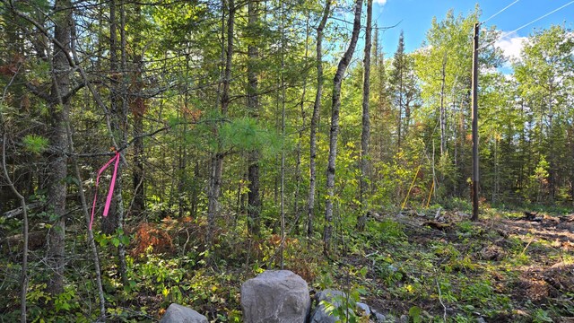 XX13.7 Crane Lake Rd, Crane Lake Twp, MN 55725 - photo 11