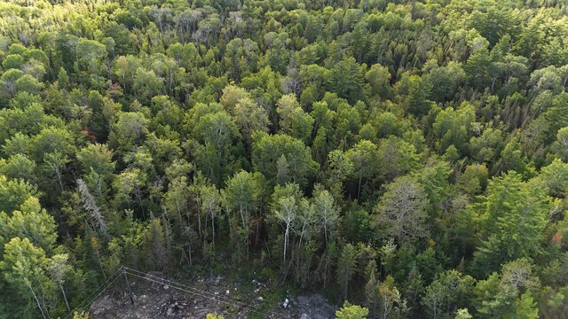 XX13.7 Crane Lake Rd, Crane Lake Twp, MN 55725 - photo 16