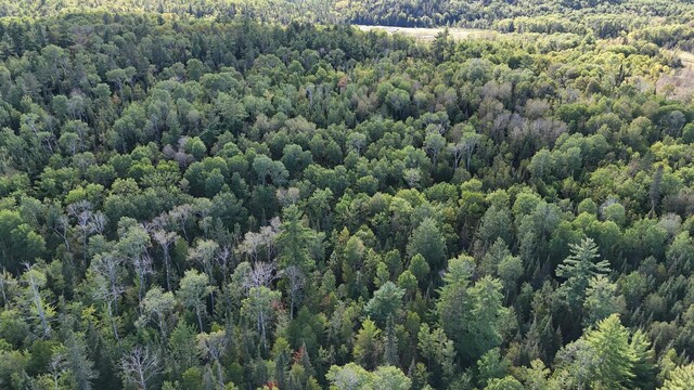 XX13.7 Crane Lake Rd, Crane Lake Twp, MN 55725 - photo 17