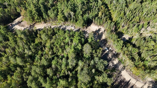 XX13.7 Crane Lake Rd, Crane Lake Twp, MN 55725 - photo 28