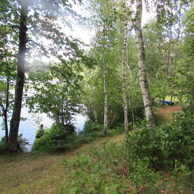 view of landscape featuring a water view