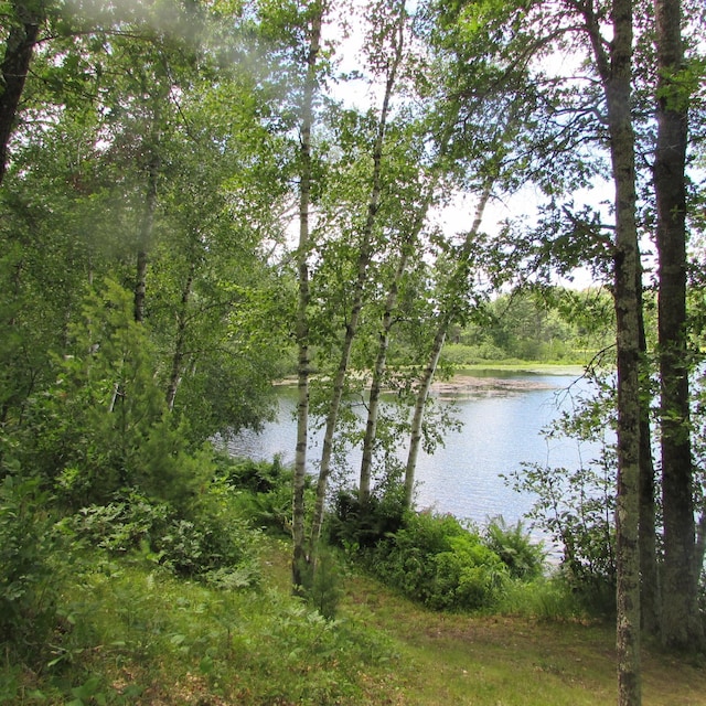 view of water feature