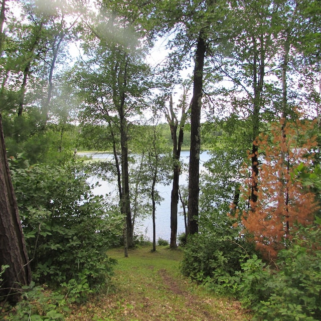 property view of water