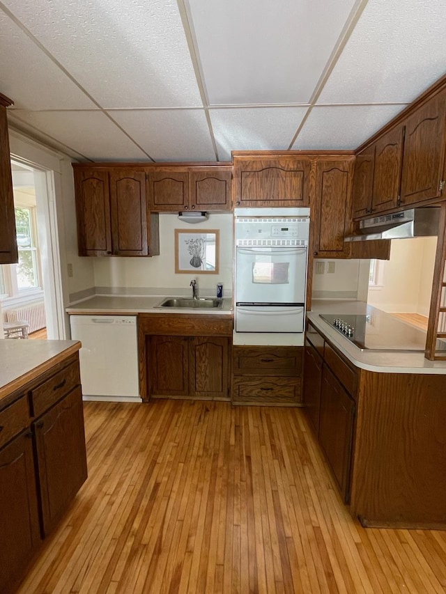 kitchen featuring light wood-type flooring, white appliances, a paneled ceiling, radiator heating unit, and sink