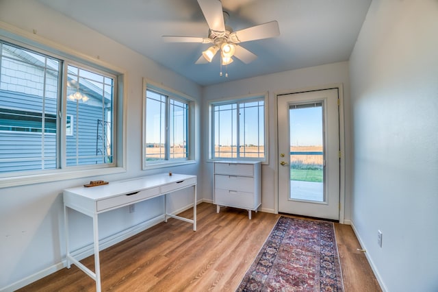 interior space with ceiling fan, wood-type flooring, and a wealth of natural light