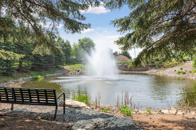 view of water feature