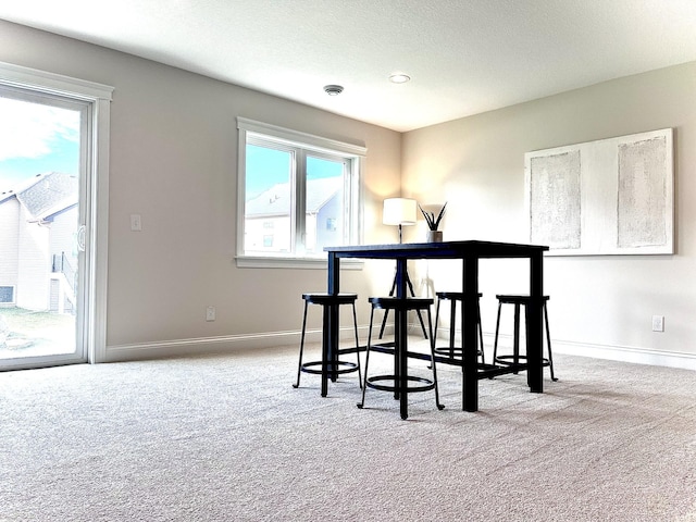 dining room with light colored carpet and a wealth of natural light