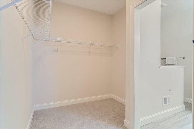 spacious closet featuring carpet