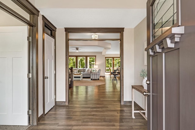 hallway featuring dark hardwood / wood-style flooring